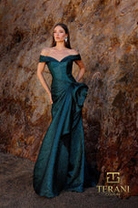 Terani Mother of the Bride Dress 252M5364