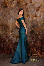 Terani Mother of the Bride Dress 252M5364