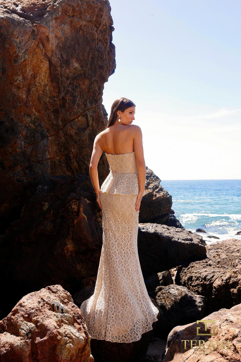 Terani Evenings Dress 252E5144