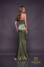Terani Evenings Dress 252E5162