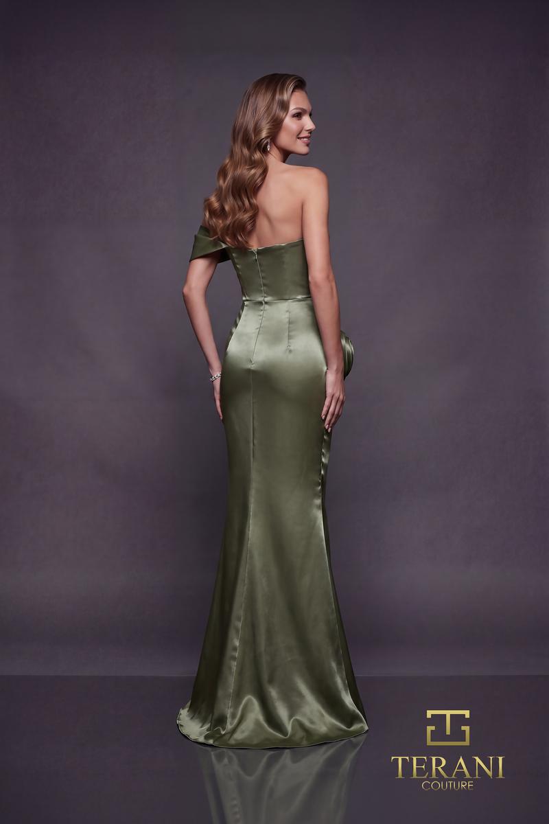 Terani Evenings Dress 252E5162
