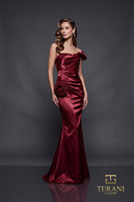 Terani Evenings Dress 252E5162