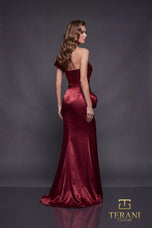 Terani Evenings Dress 252E5162