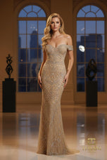 Terani Pageant Dress 252GL5208