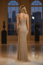 Terani Pageant Dress 252GL5208