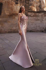 Terani Evenings Dress 261E6632