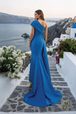 Terani Mother of the Bride Dress 261M6411