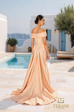 Terani Mother of the Bride Dress 261M6444