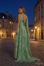 Terani Evenings Dress 261E6093