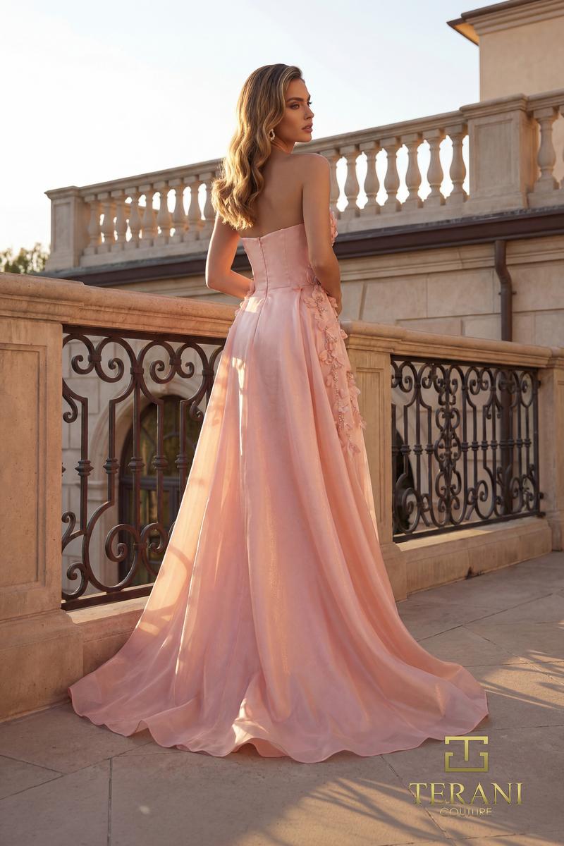 Terani Evenings Dress 261E6195