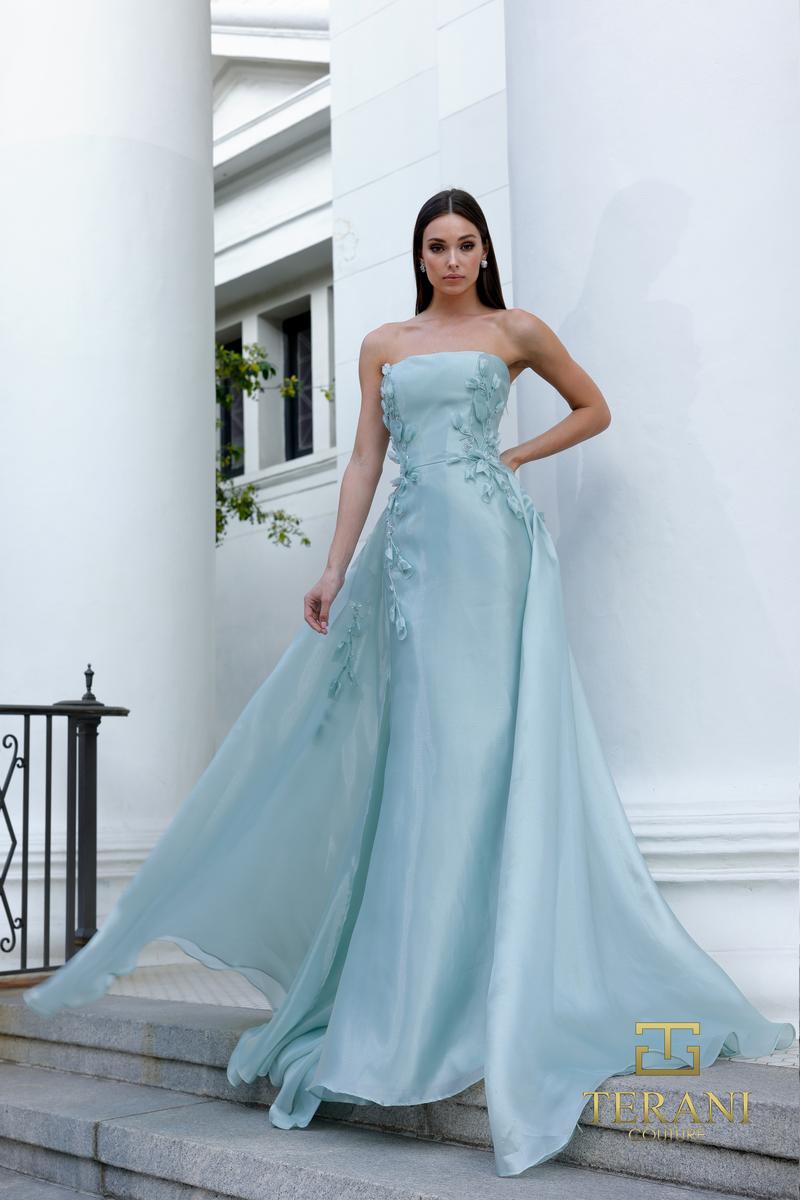 Terani Evenings Dress 261E6195