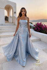 Terani Evenings Dress 261E6195
