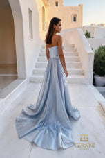 Terani Evenings Dress 261E6195