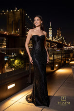 Terani Evenings Dress 261E6238