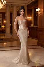 Terani Evenings Dress 261E6238