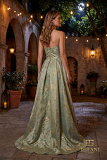 Terani Evenings Dress 261E6266