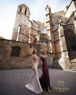 Terani Evenings Dress 261E6632