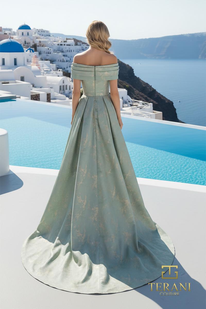 Terani Mother of the Bride Dress 261M6444