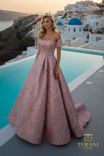 Terani Mother of the Bride Dress 261M6453