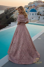 Terani Mother of the Bride Dress 261M6453