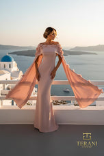 Terani Mother of the Bride Dress 261M6687