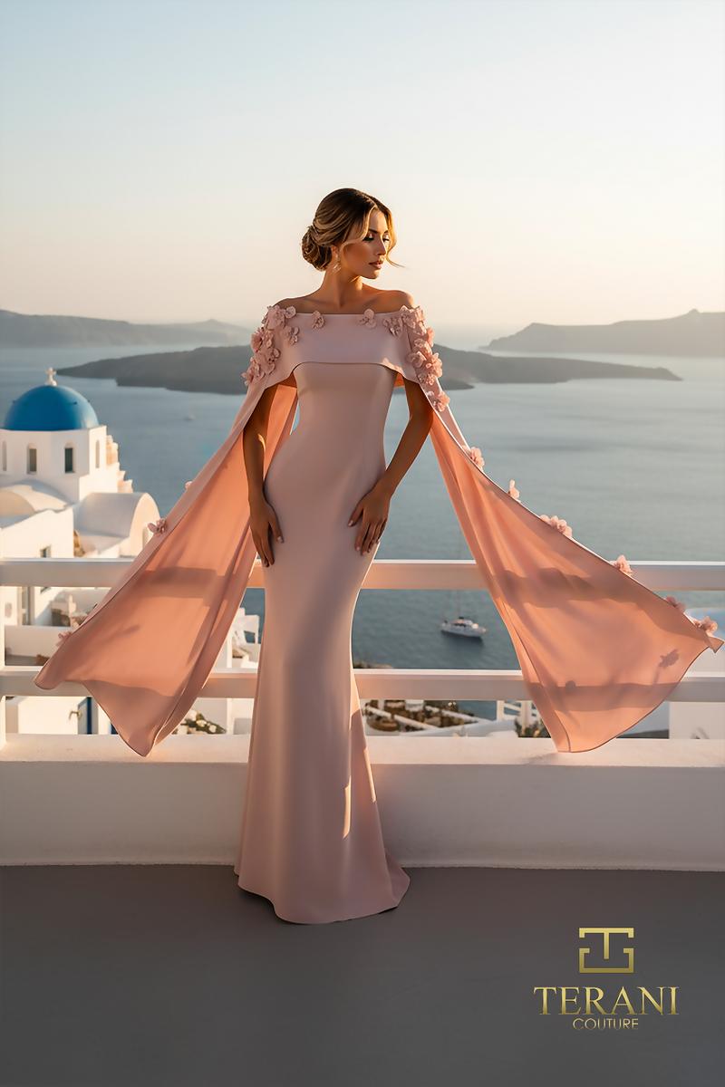 Terani Mother of the Bride Dress 261M6687