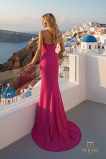 Terani Evening Dress 261P6076