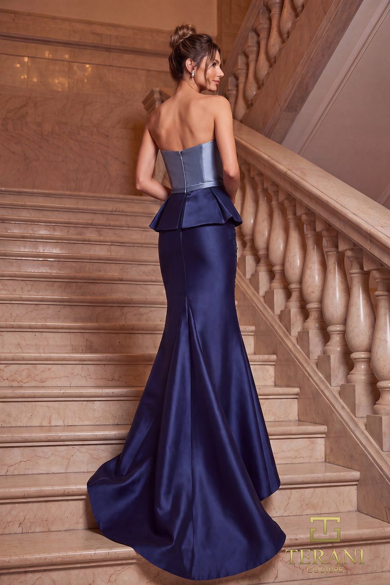 Terani Evenings Dress 262E7115