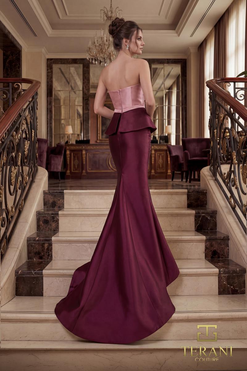 Terani Evenings Dress 262E7115
