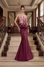 Terani Evenings Dress 262E7115