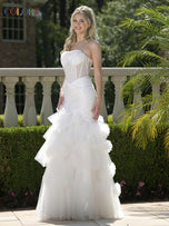 Colors Dress Dress 3800