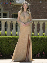 Colors Dress Dress 3863