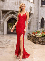 Primavera Couture Long Dress 3904