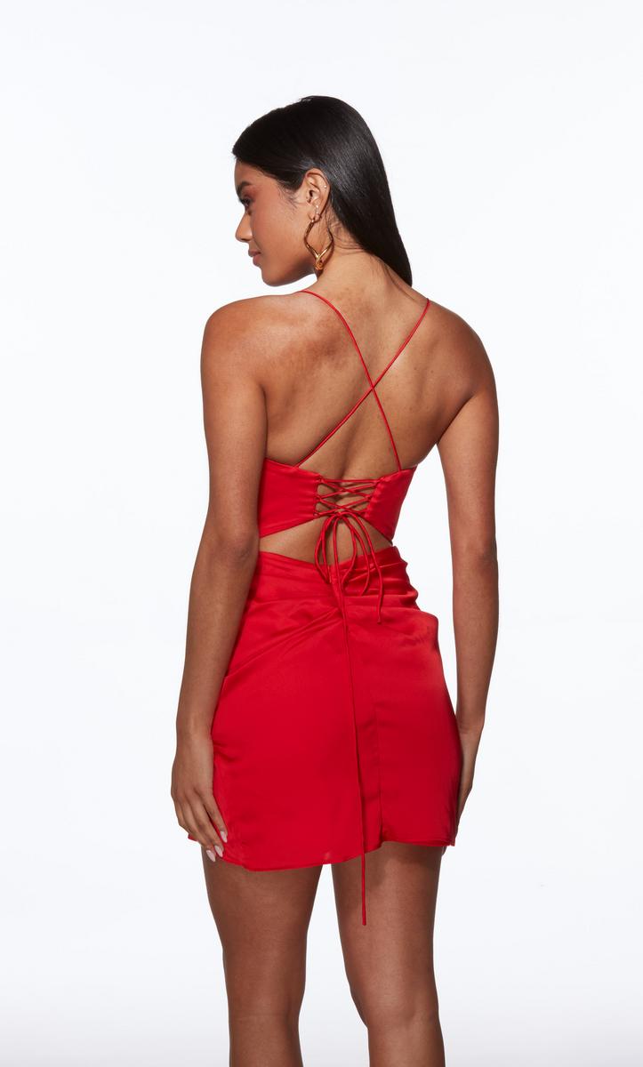 Size 20 Homecoming Dresses and Gowns | Terry Costa