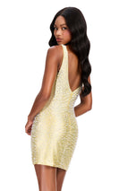 ASHLEYlauren Dress 40101