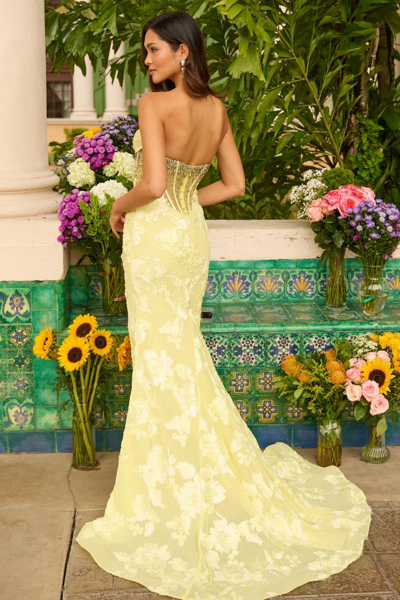 Ava Presley Lace Overlay Fitted Prom Dress 42297