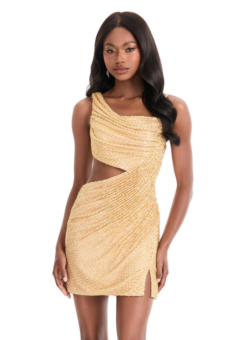 ASHLEYlauren Ruched Cut Out HoCo Dress 4863