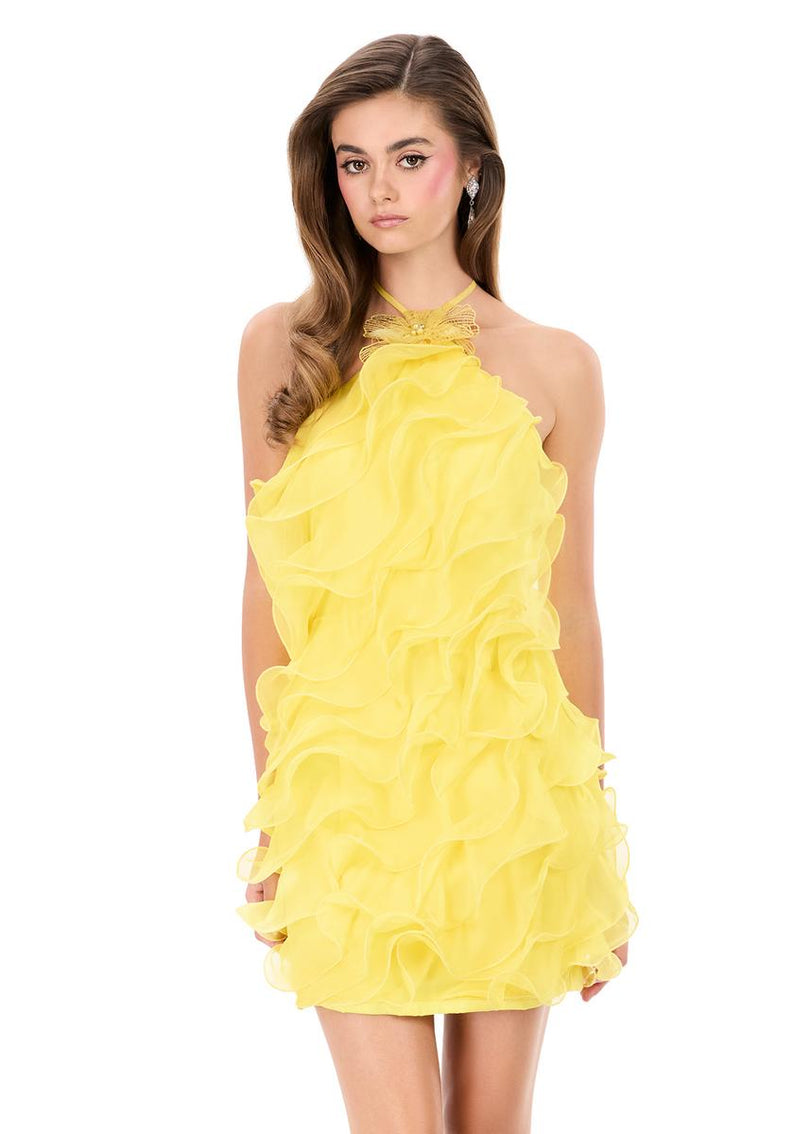 ASHLEYlauren Short Ruffle Organza Dress 4949