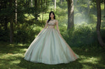 Valencia Quinceanera by Morilee Dress 60192