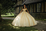 Valencia Quinceanera by Morilee Dress 60194