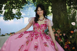 Valencia Quinceanera by Morilee Dress 60197
