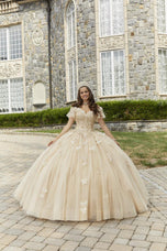 Vizcaya by Morilee 3D Butterfly Quince Dress 89404
