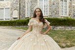 Vizcaya by Morilee 3D Butterfly Quince Dress 89404