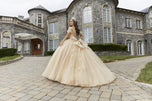 Vizcaya by Morilee 3D Butterfly Quince Dress 89404
