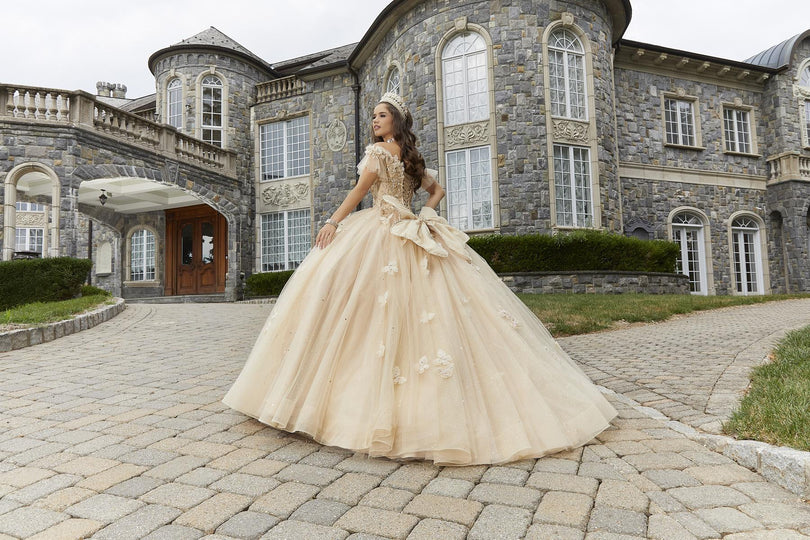 Vizcaya by Morilee 3D Butterfly Quince Dress 89404