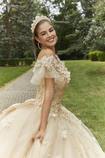 Vizcaya by Morilee 3D Butterfly Quince Dress 89404