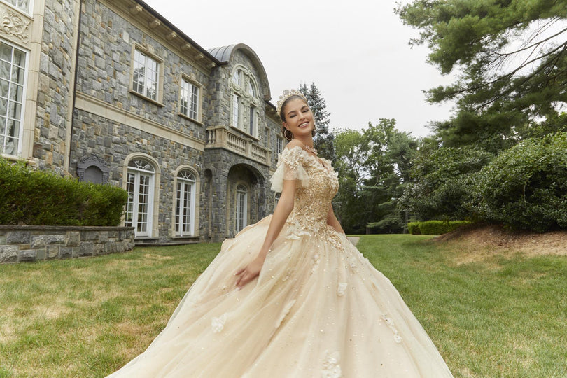 Vizcaya by Morilee 3D Butterfly Quince Dress 89404