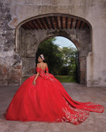 Vizcaya by Morilee Dress 89534