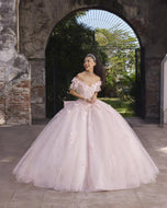 Vizcaya by Morilee Dress 89549
