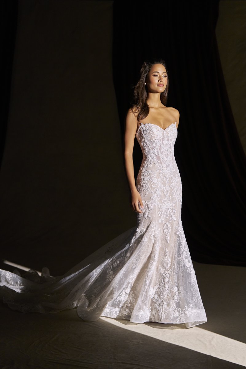 Allure Bridals Couture Dress C844